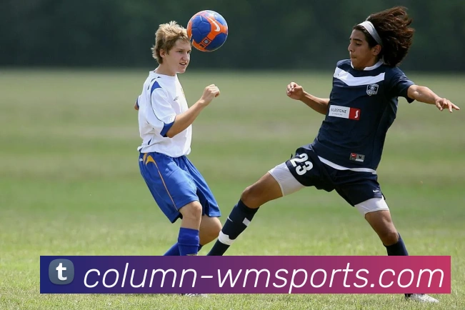 完美体育官网发展历程